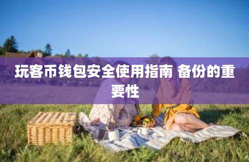 玩客币钱包安全使用指南 备份的重要性