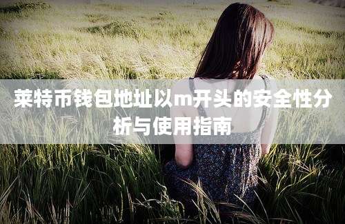 莱特币钱包地址以m开头的安全性分析与使用指南