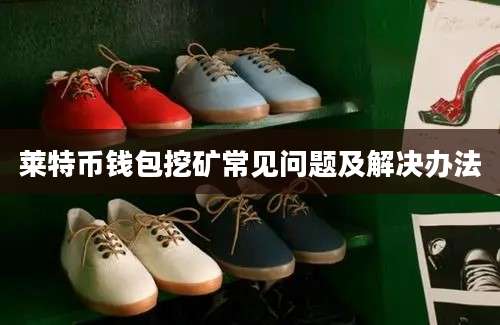 莱特币钱包挖矿常见问题及解决办法