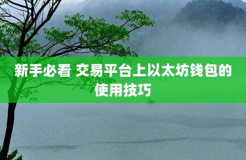 新手必看 交易平台上以太坊钱包的使用技巧