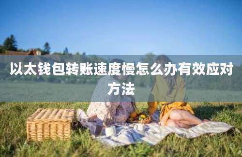 以太钱包转账速度慢怎么办有效应对方法
