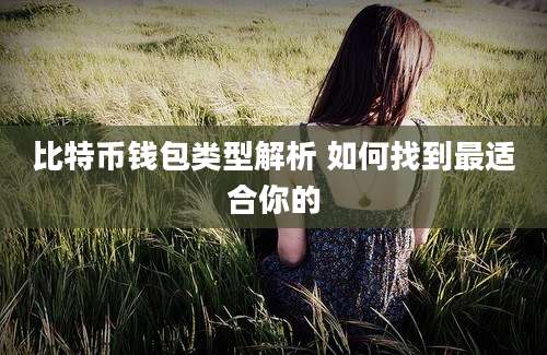 比特币钱包类型解析 如何找到最适合你的