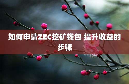 如何申请ZEC挖矿钱包 提升收益的步骤