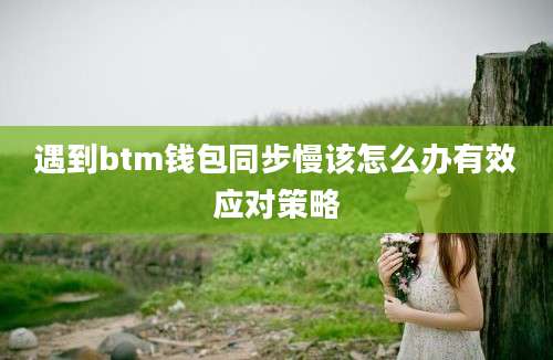 遇到btm钱包同步慢该怎么办有效应对策略