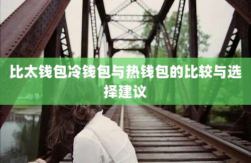 比太钱包冷钱包与热钱包的比较与选择建议