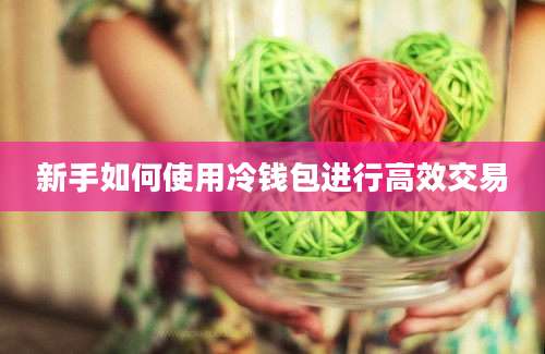 新手如何使用冷钱包进行高效交易