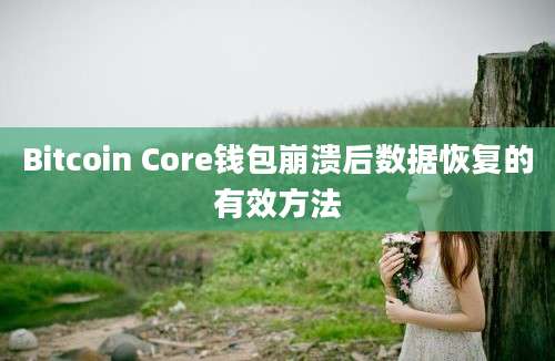 Bitcoin Core钱包崩溃后数据恢复的有效方法