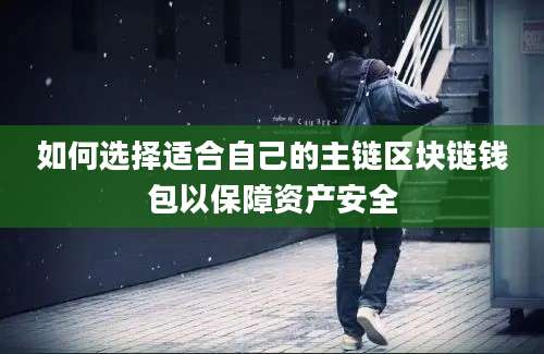 如何选择适合自己的主链区块链钱包以保障资产安全