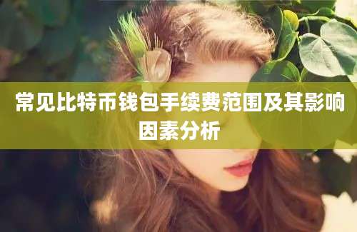 常见比特币钱包手续费范围及其影响因素分析