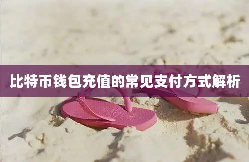 比特币钱包充值的常见支付方式解析