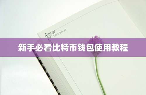 新手必看比特币钱包使用教程