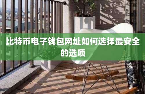 比特币电子钱包网址如何选择最安全的选项