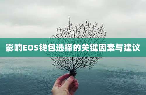 影响EOS钱包选择的关键因素与建议