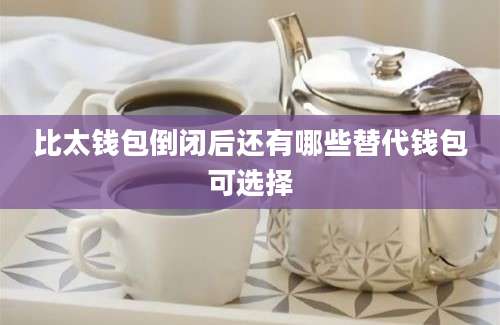 比太钱包倒闭后还有哪些替代钱包可选择