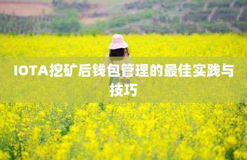 IOTA挖矿后钱包管理的最佳实践与技巧