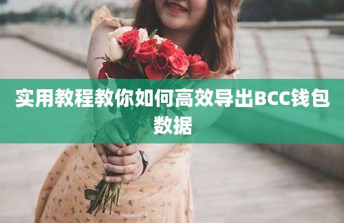 实用教程教你如何高效导出BCC钱包数据