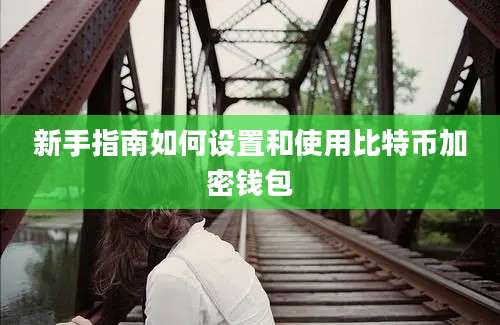 新手指南如何设置和使用比特币加密钱包