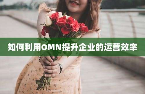 如何利用OMN提升企业的运营效率