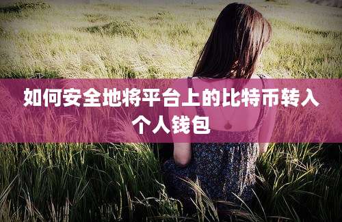 如何安全地将平台上的比特币转入个人钱包