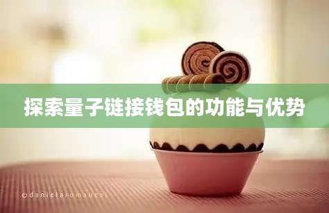 探索量子链接钱包的功能与优势