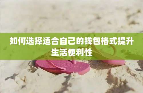 如何选择适合自己的钱包格式提升生活便利性