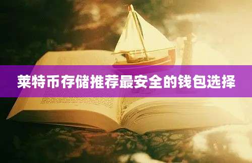 莱特币存储推荐最安全的钱包选择