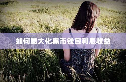 如何最大化黑币钱包利息收益