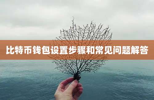 比特币钱包设置步骤和常见问题解答