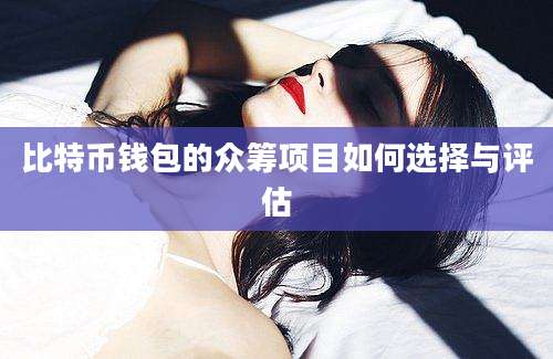 比特币钱包的众筹项目如何选择与评估