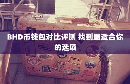 BHD币钱包对比评测 找到最适合你的选项