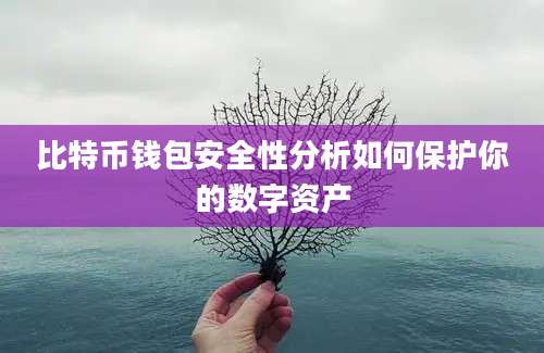 比特币钱包安全性分析如何保护你的数字资产