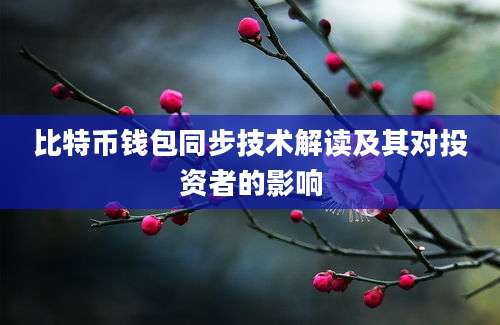 比特币钱包同步技术解读及其对投资者的影响