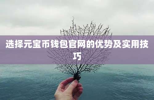 选择元宝币钱包官网的优势及实用技巧