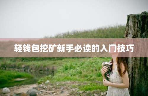 轻钱包挖矿新手必读的入门技巧