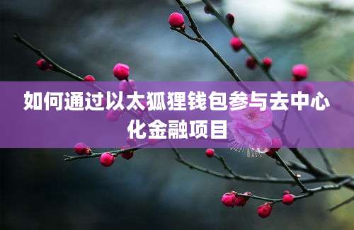 如何通过以太狐狸钱包参与去中心化金融项目