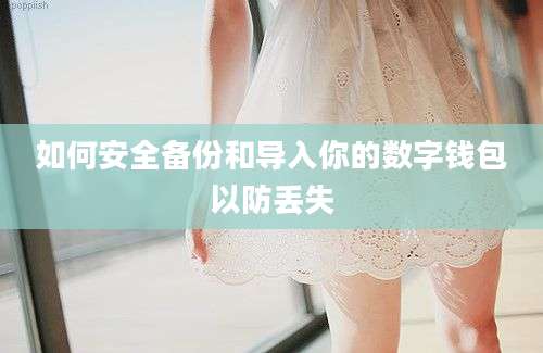 如何安全备份和导入你的数字钱包以防丢失