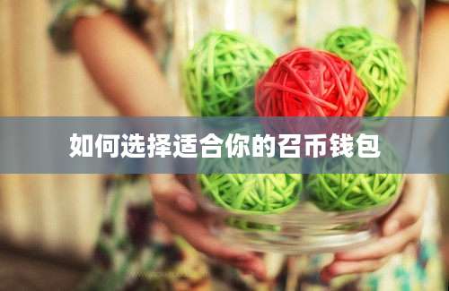 如何选择适合你的召币钱包