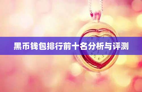 黑币钱包排行前十名分析与评测