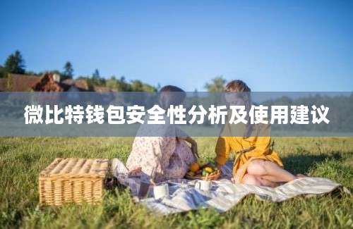 微比特钱包安全性分析及使用建议