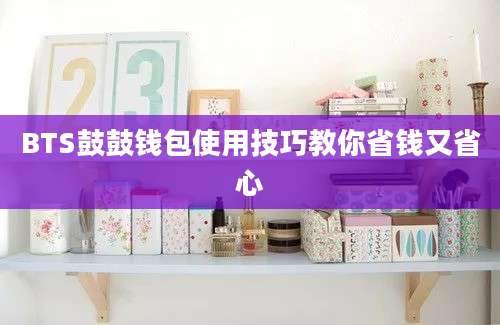 BTS鼓鼓钱包使用技巧教你省钱又省心
