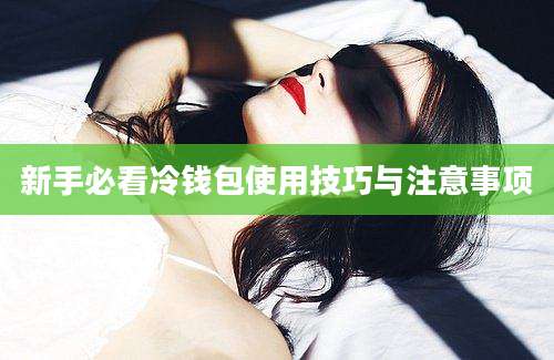 新手必看冷钱包使用技巧与注意事项