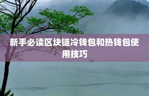 新手必读区块链冷钱包和热钱包使用技巧
