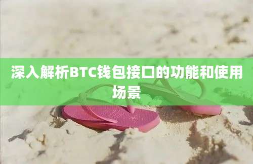 深入解析BTC钱包接口的功能和使用场景