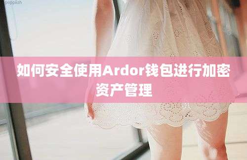 如何安全使用Ardor钱包进行加密资产管理