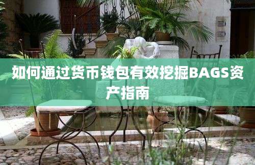 如何通过货币钱包有效挖掘BAGS资产指南