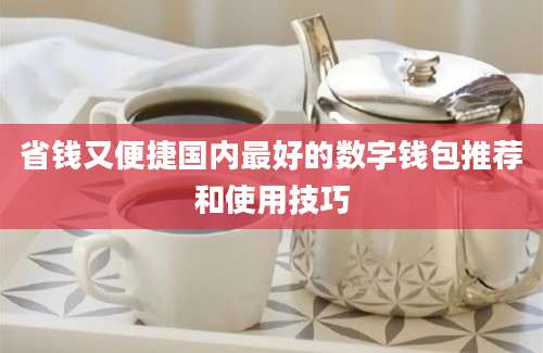 省钱又便捷国内最好的数字钱包推荐和使用技巧