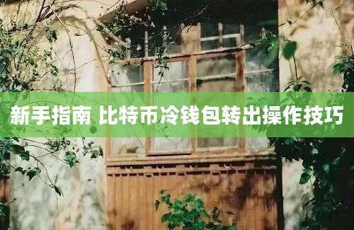 新手指南 比特币冷钱包转出操作技巧