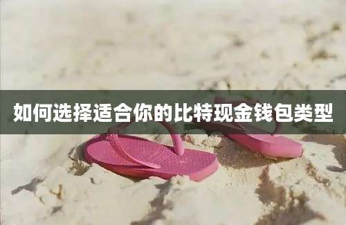如何选择适合你的比特现金钱包类型