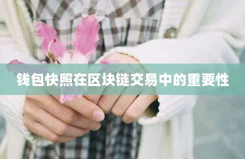 钱包快照在区块链交易中的重要性
