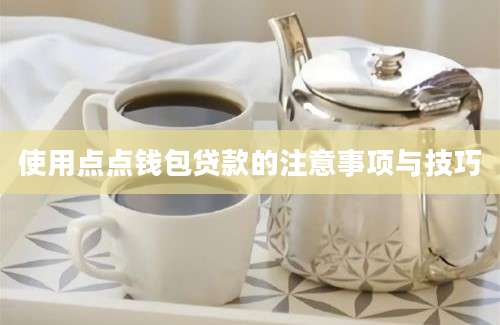 使用点点钱包贷款的注意事项与技巧